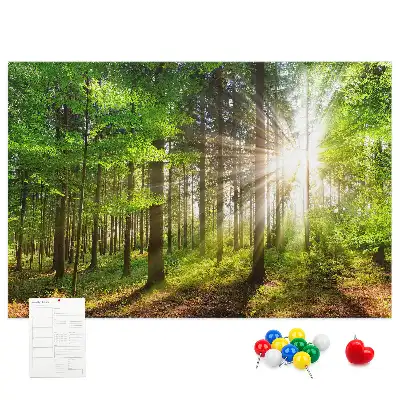 Printed Cork Board Forest sunrise