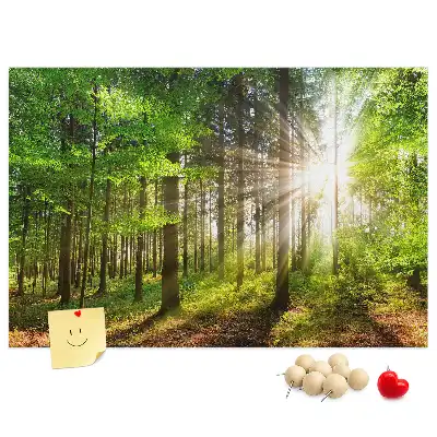 Printed Cork Board Forest sunrise
