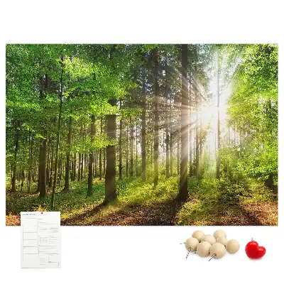 Printed Cork Board Forest sunrise