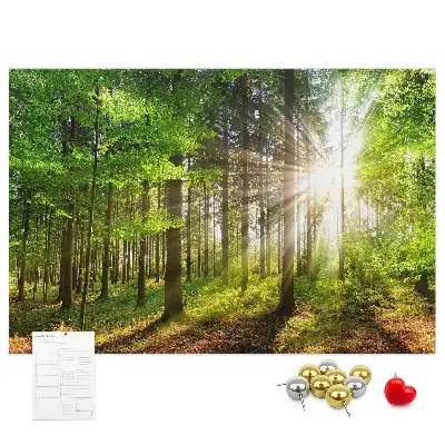 Printed Cork Board Forest sunrise