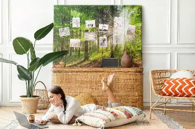 Printed Cork Board Forest sunrise