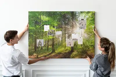 Printed Cork Board Forest sunrise