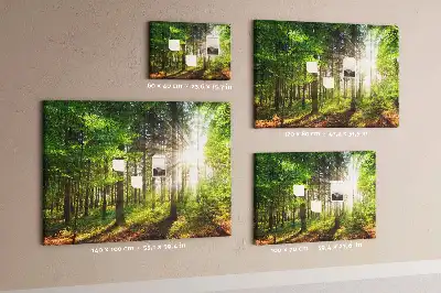 Printed Cork Board Forest sunrise