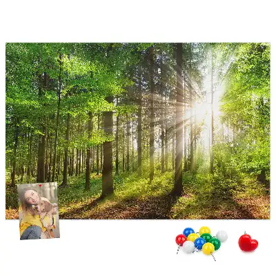 Printed Cork Board Forest sunrise