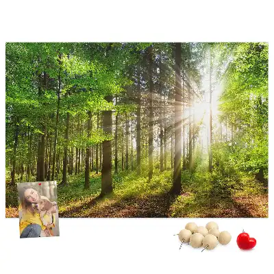 Printed Cork Board Forest sunrise