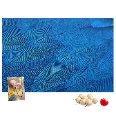 Printed Cork Memo Board Bird feather