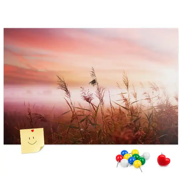 Misty Morning Printed Cork Memo Board