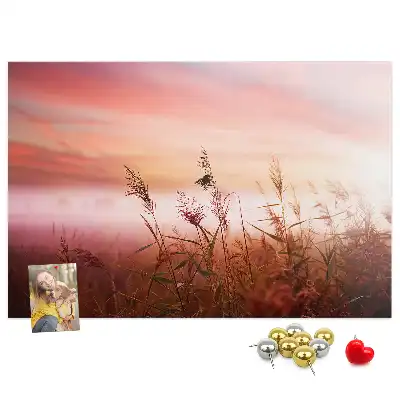 Misty Morning Printed Cork Memo Board