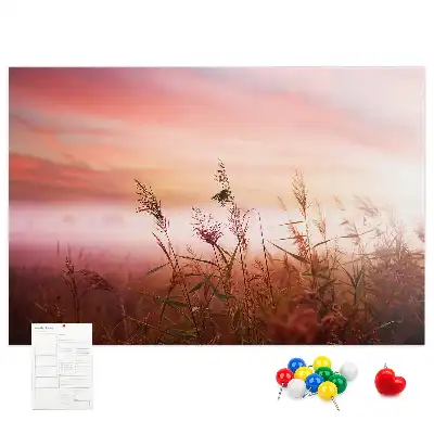 Misty Morning Printed Cork Memo Board