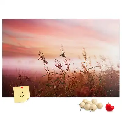 Misty Morning Printed Cork Memo Board