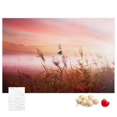 Printed Cork Memo Board Misty morning