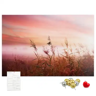 Printed Cork Memo Board Misty morning