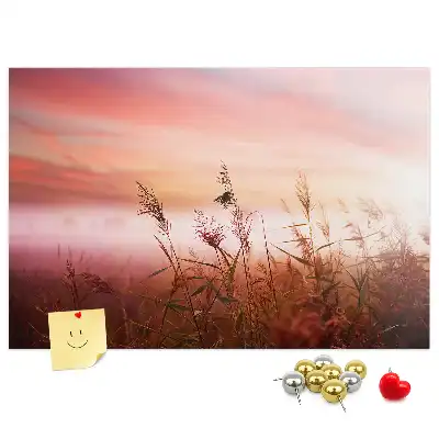 Misty Morning Printed Cork Memo Board