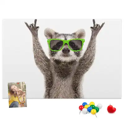 Printed Cork Memo Board Raccoon wearing glasses
