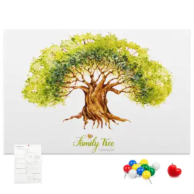 Cork memo board Family tree