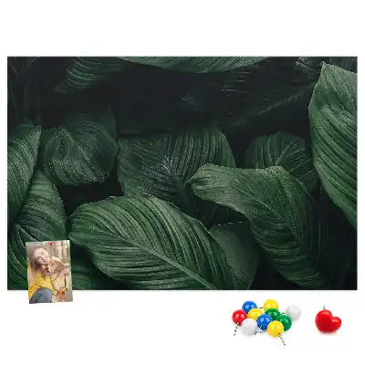 Tropical monstera printed cork memo board