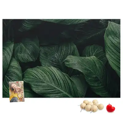 Tropical monstera printed cork memo board