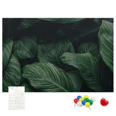 Tropical monstera printed cork memo board