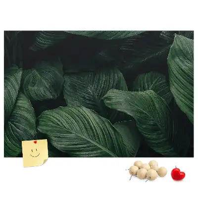 Tropical monstera printed cork memo board