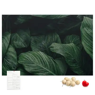Tropical monstera printed cork memo board