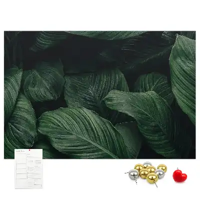 Tropical monstera printed cork memo board