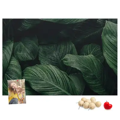 Tropical monstera printed cork memo board