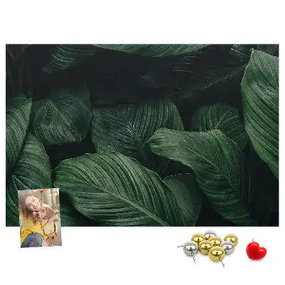 Tropical monstera printed cork memo board
