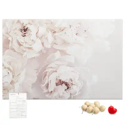 Peony Flowers Printed Cork Board