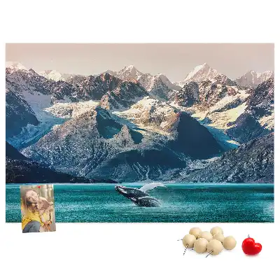 Printed Cork Memo Board Whale
