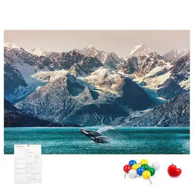 Printed Cork Memo Board Whale