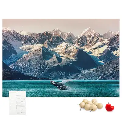 Printed Cork Memo Board Whale water