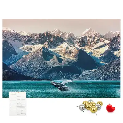 Printed Cork Memo Board Whale
