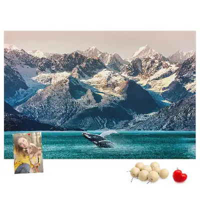 Printed Cork Memo Board Whale water