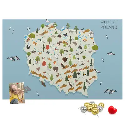 Printed Cork Board Poland Animal Map