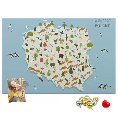 Printed Cork Board Poland Animal Map