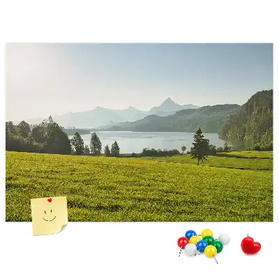 Printed Cork Memo Board with Mountain Field Design