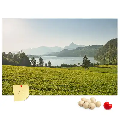 Printed Cork Memo Board Mountains field