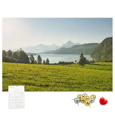 Printed Cork Memo Board with Mountain Field Design