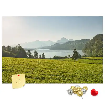 Printed Cork Memo Board with Mountain Field Design