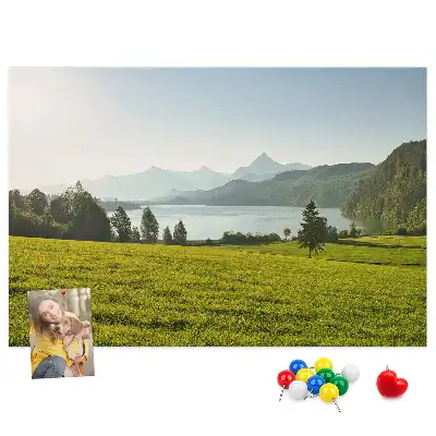 Printed Cork Memo Board with Mountain Field Design