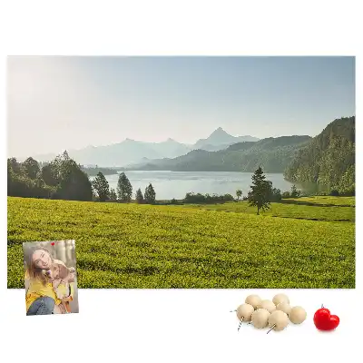 Printed Cork Memo Board Mountains field
