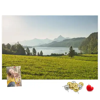 Printed Cork Memo Board with Mountain Field Design