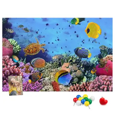 Cork memo board Underwater life