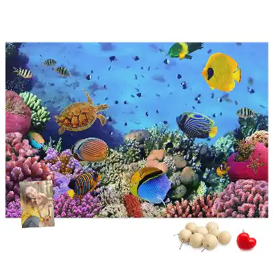 Cork memo board Underwater life