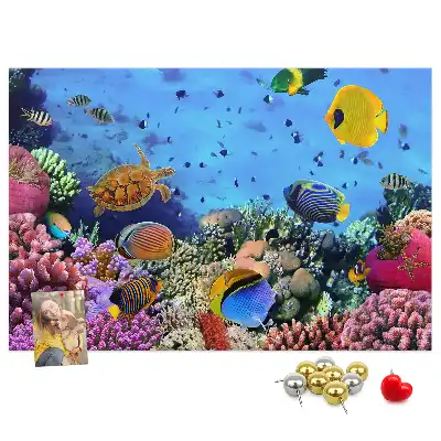 Underwater Life Cork Memo Board