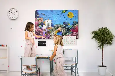Cork memo board Underwater life