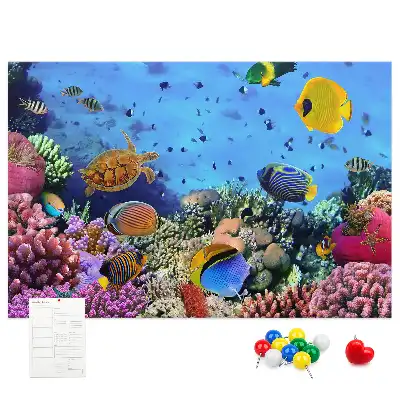 Cork memo board Underwater life
