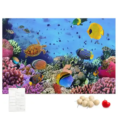 Cork memo board Underwater life
