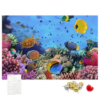 Underwater Life Cork Memo Board