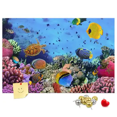 Cork memo board Underwater life